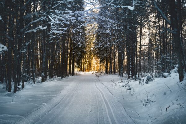 winter driving safety and snow covered roads